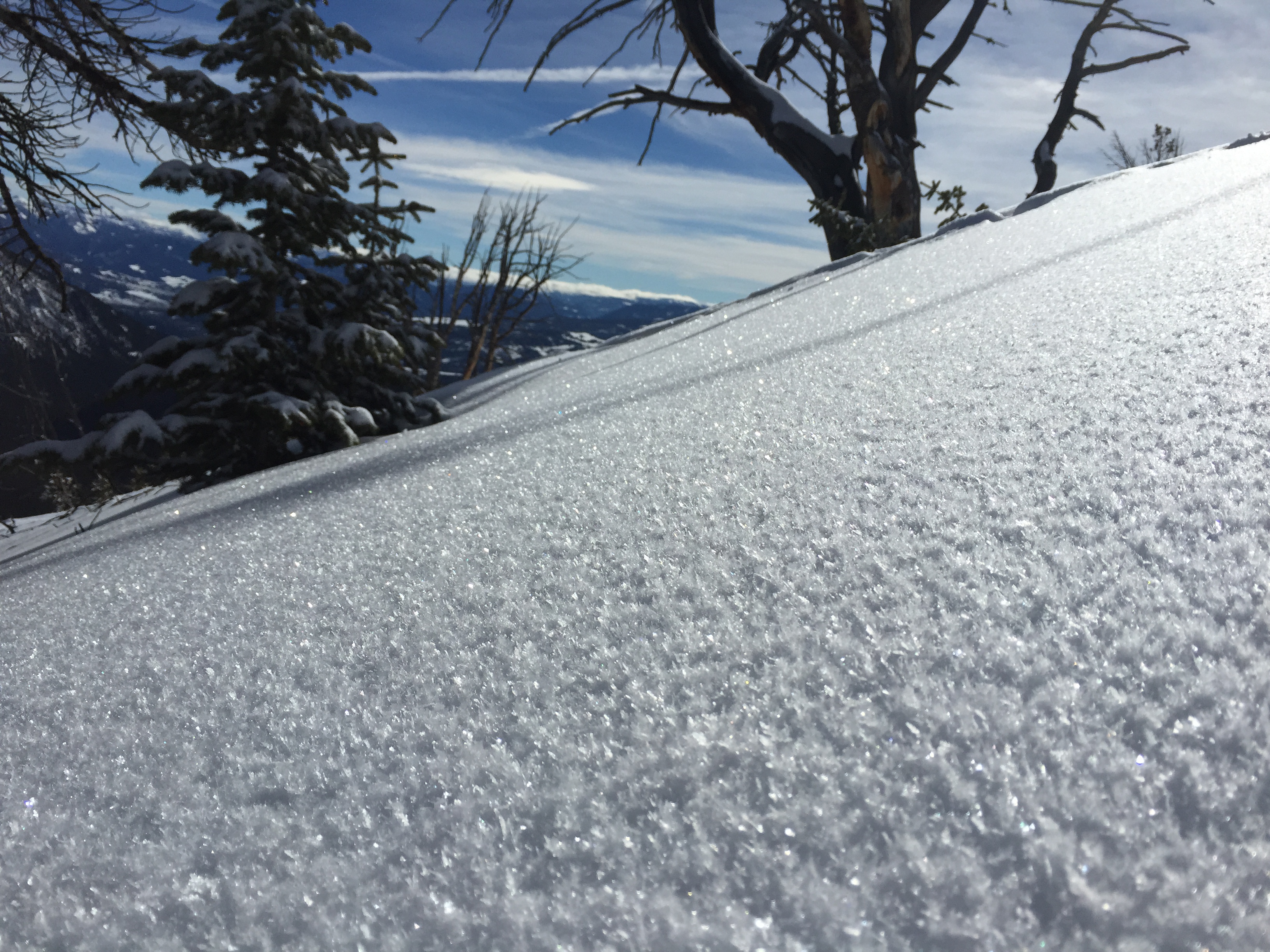 Another crop of surface hoar in Big Sky