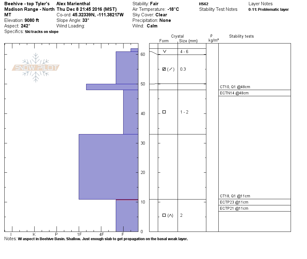 Beehive Basin Profile