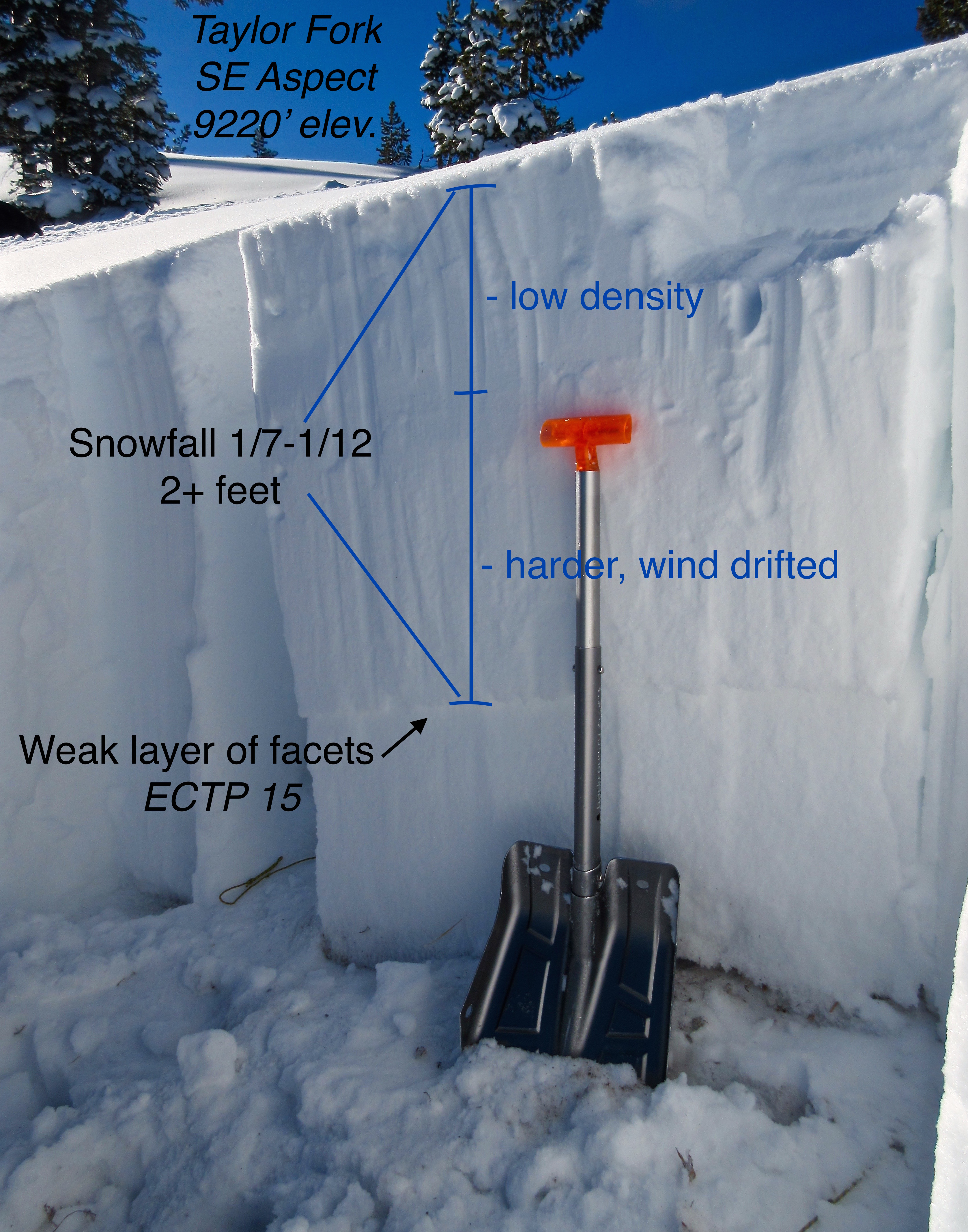 Taylor Fork Snowpit - Jan 13 2017