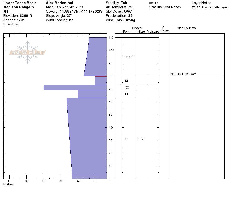 Tepee Basin Pit profile - 6 Feb