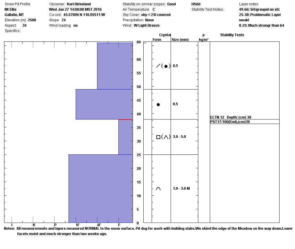 Mt Ellis Snowpit Profile