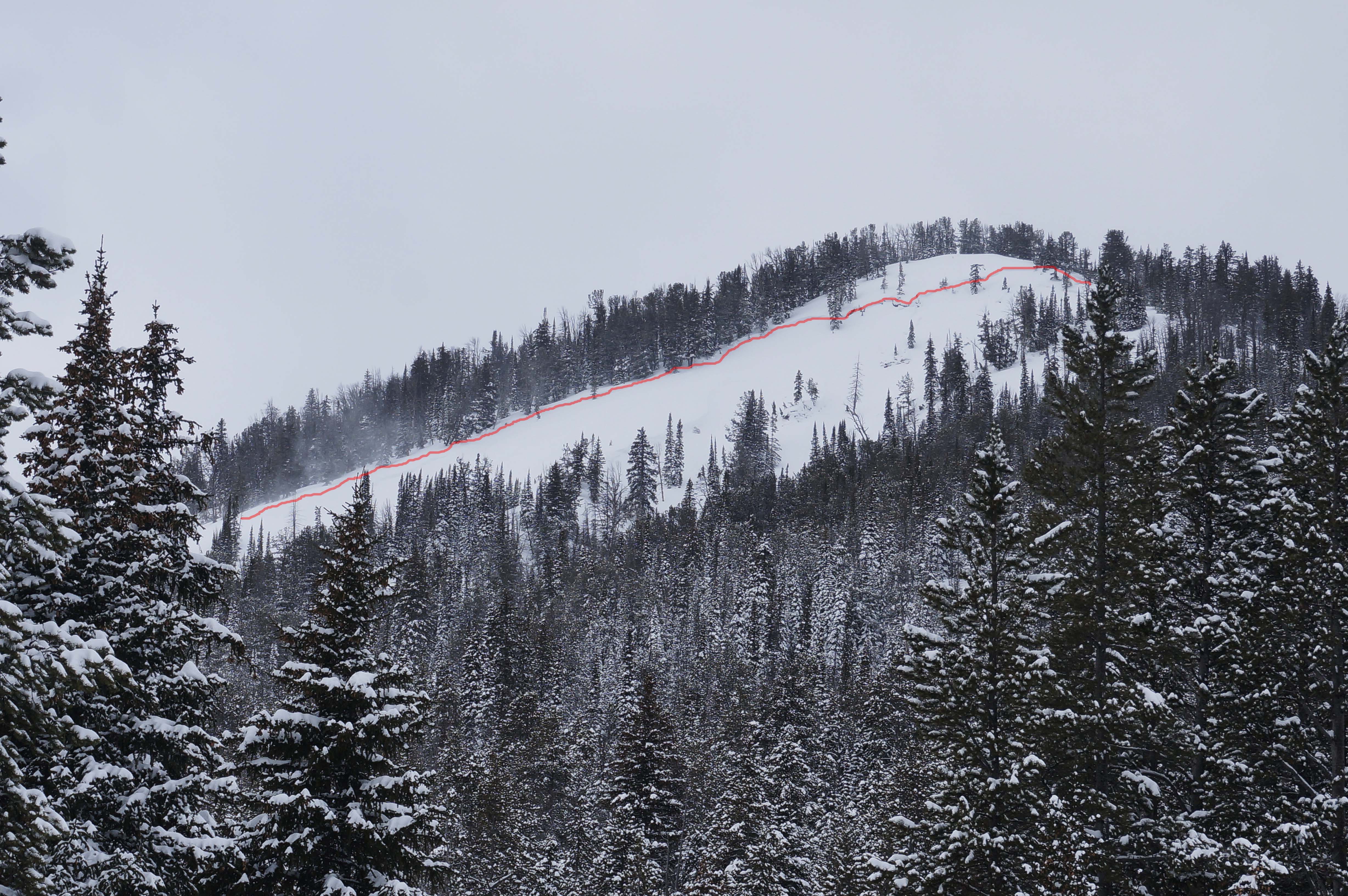 Avalanche in Republic Creek near Cooke