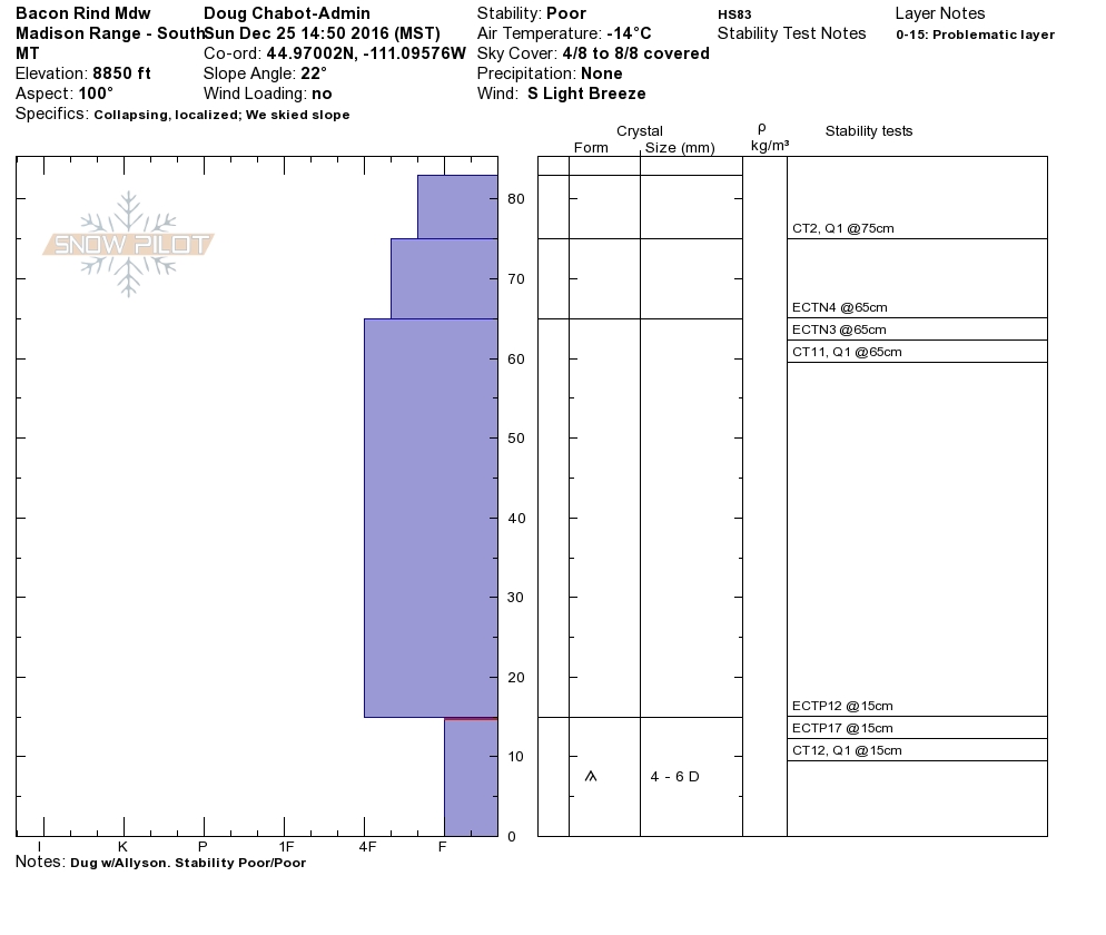 Bacon Rind Snowpit Profile