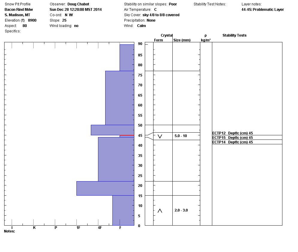 Bacon Rind Meadow Snowpit Profile