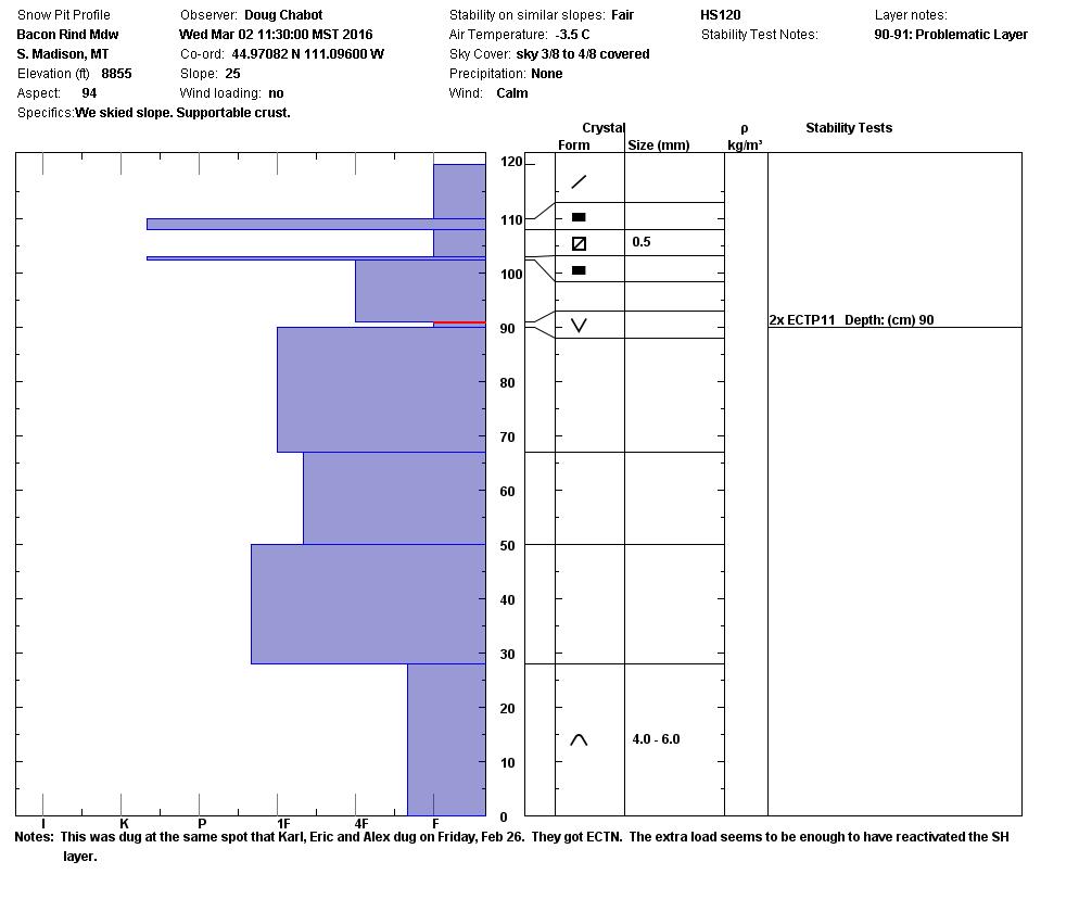 Bacon Rind Meadow Snowpit Profile