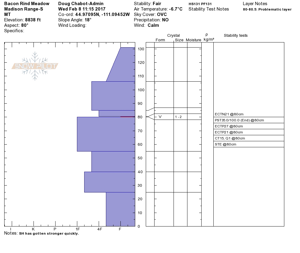 Bacon Rind Snowpit Profile