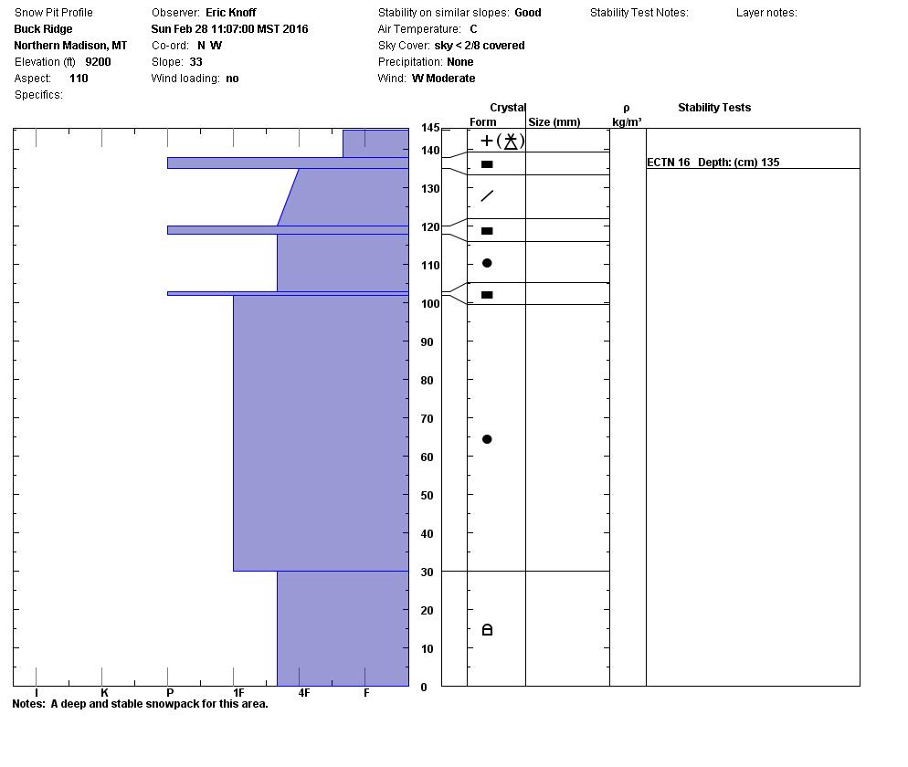 Buck Ridge Snowpit - 29 Feb 16