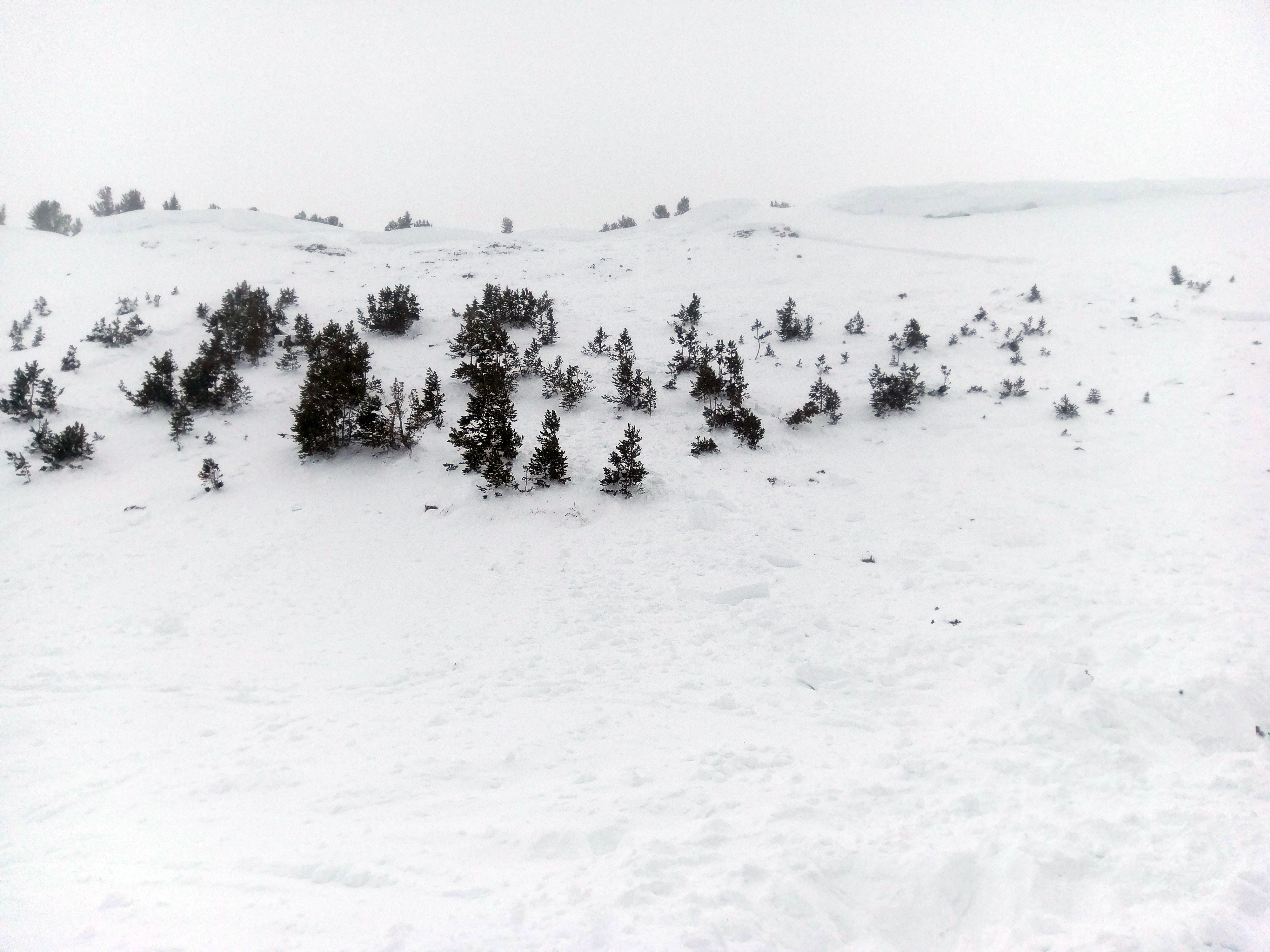 Buck Ridge Burial Path