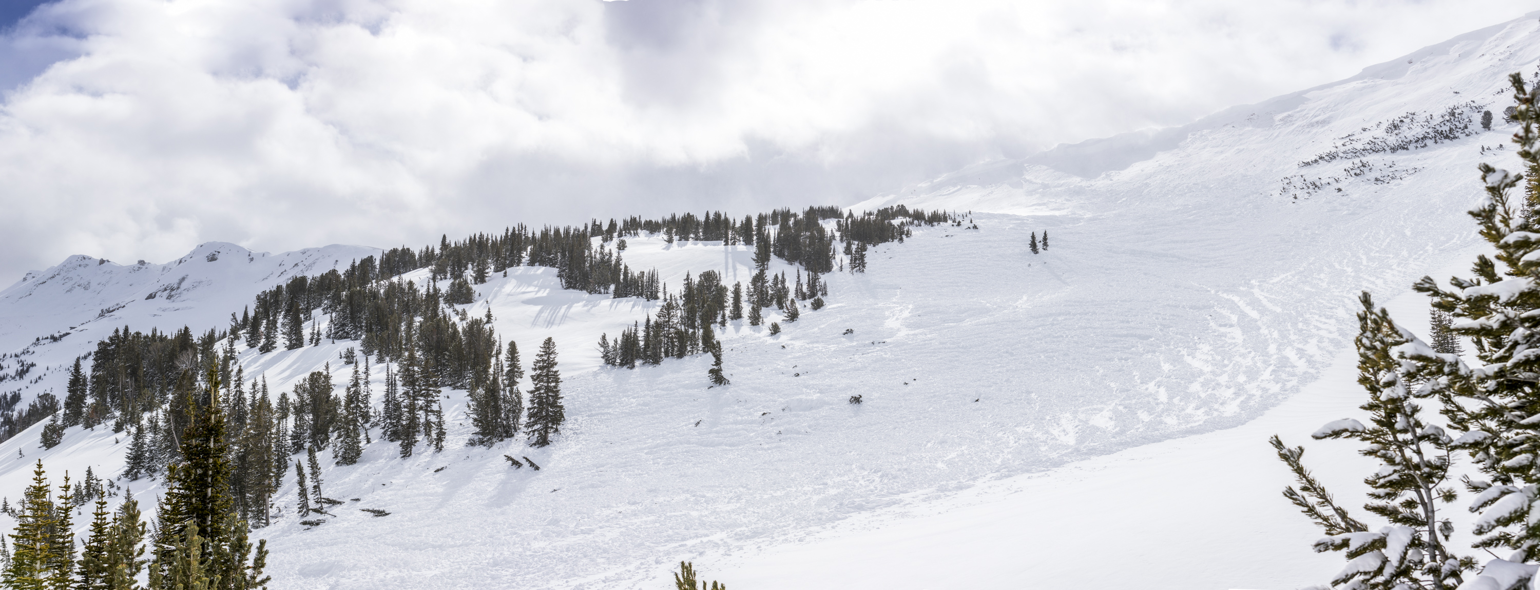 Avalanche on Fisher Peak near Lulu Pass, Cooke