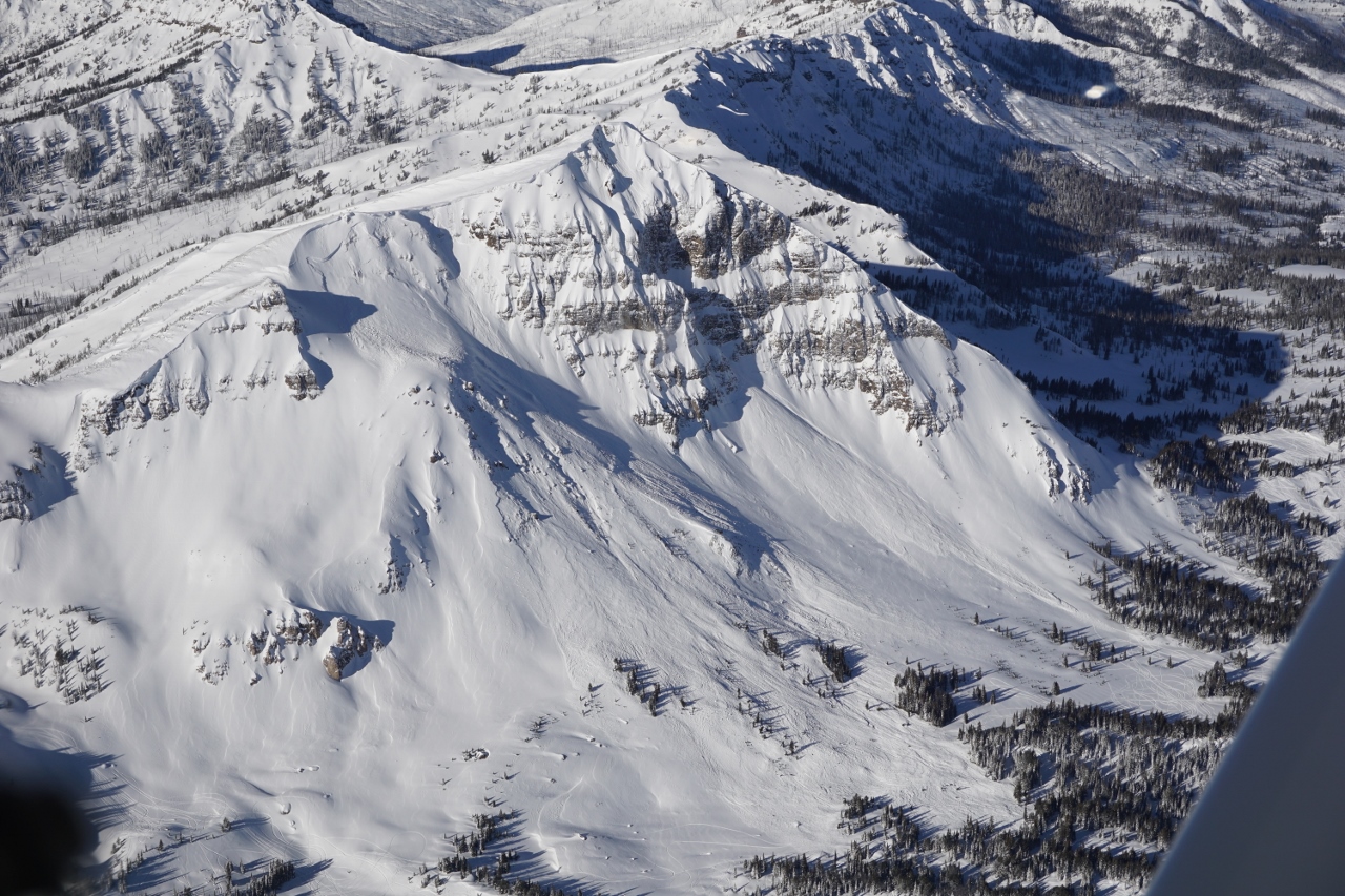 From the Air: Wolverine Peak Avalanches