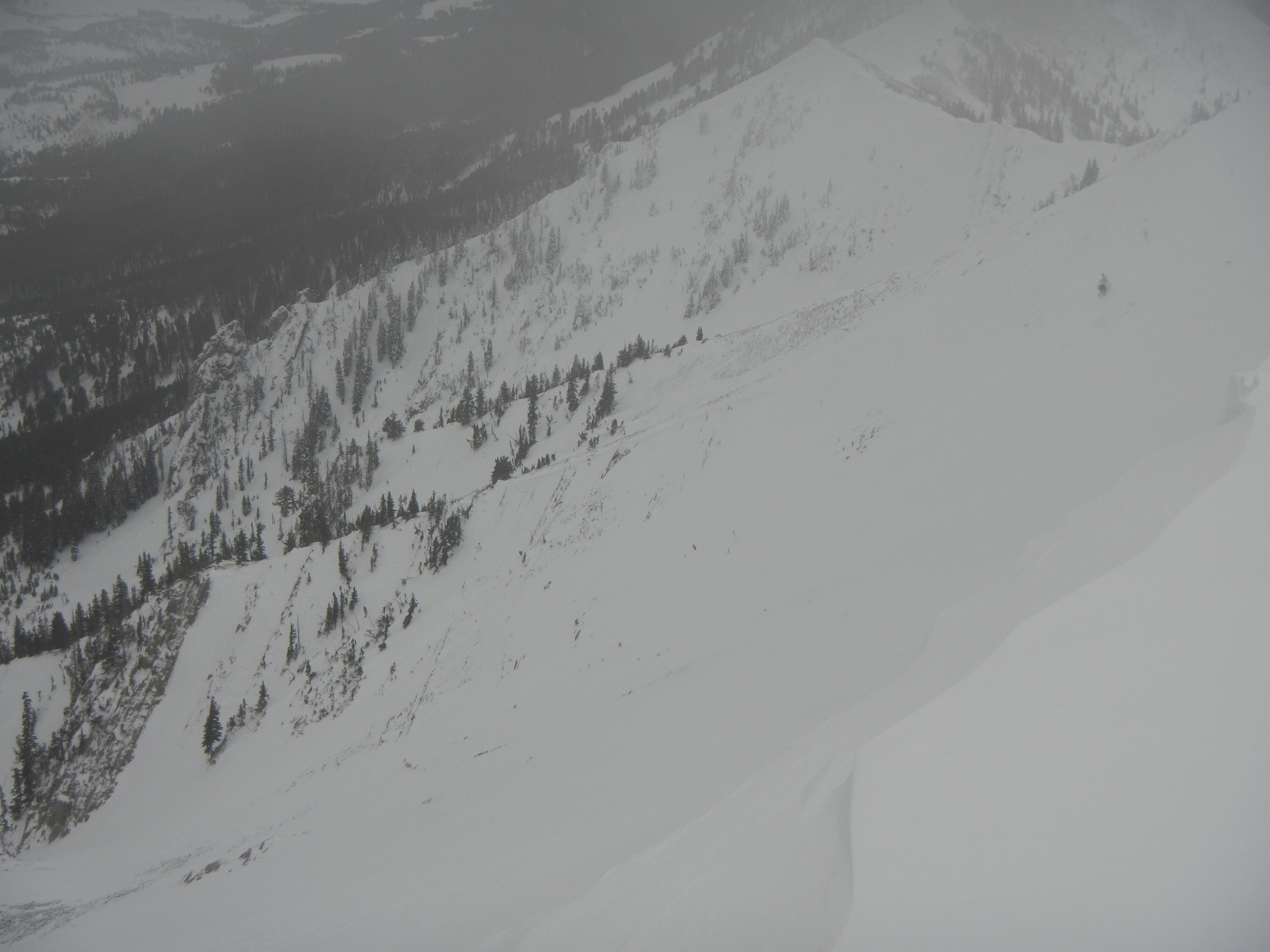 Mid-slope Wind Scouring Bridger Range