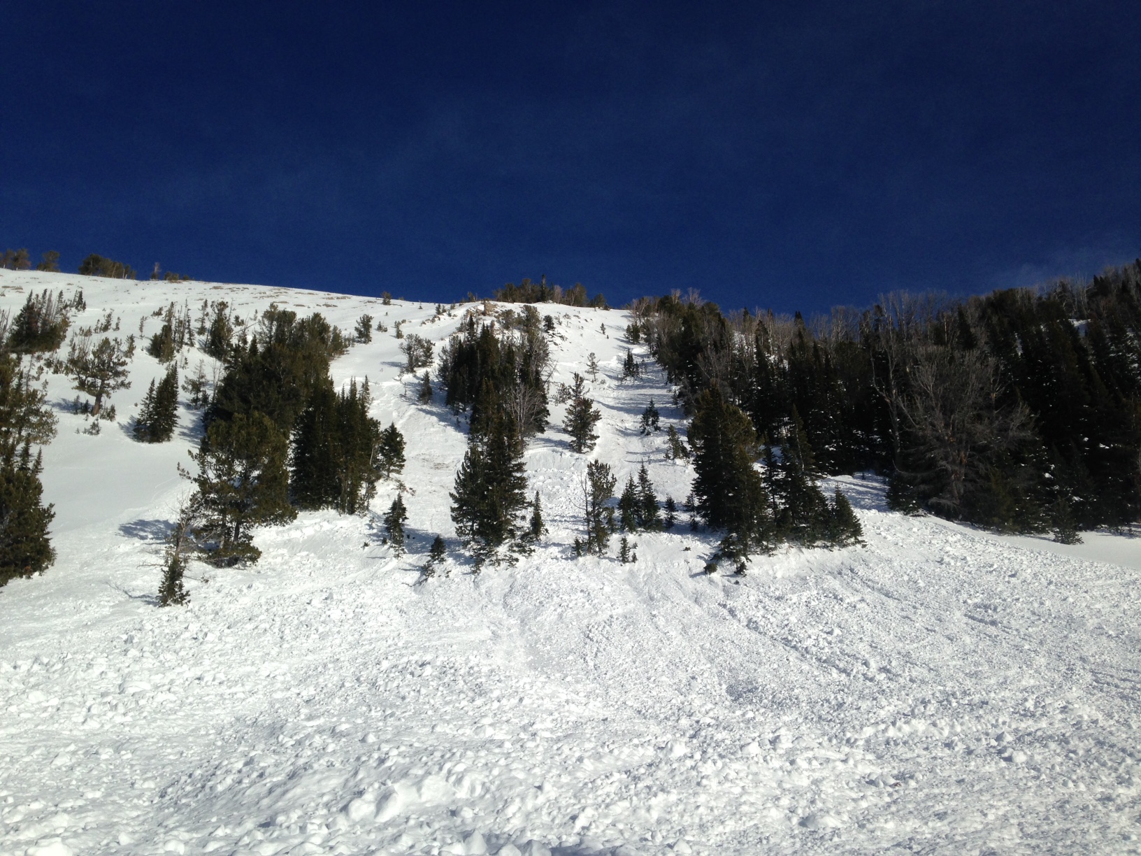 Avalanche in Beehive - Jan 15