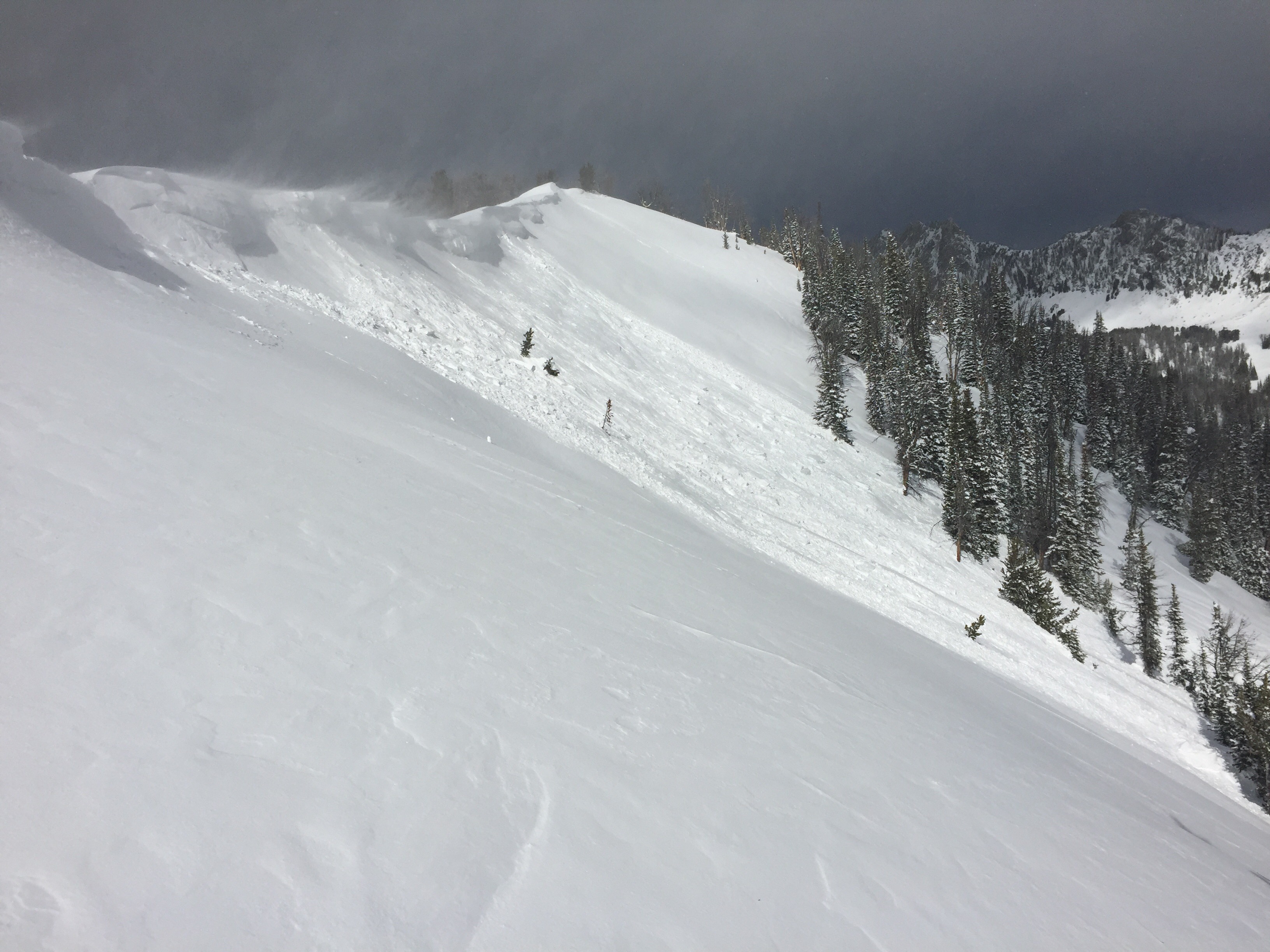 Cornice fall and small wind slab in Middle Basin