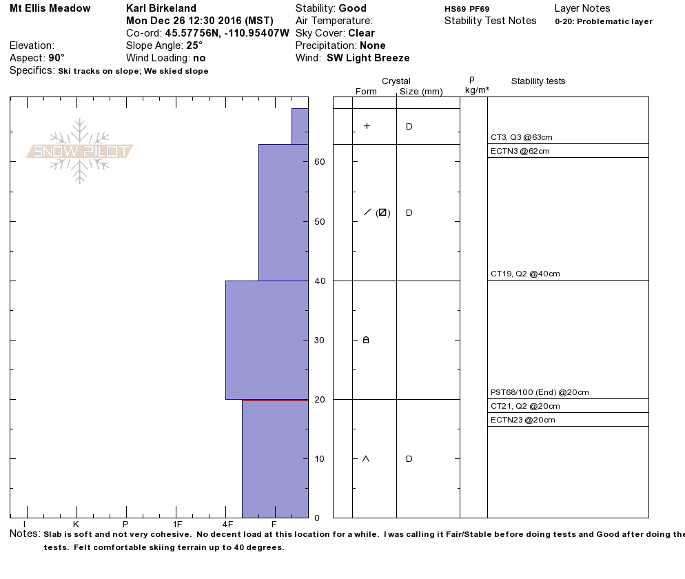 Mt. Ellis Snowpit Profile