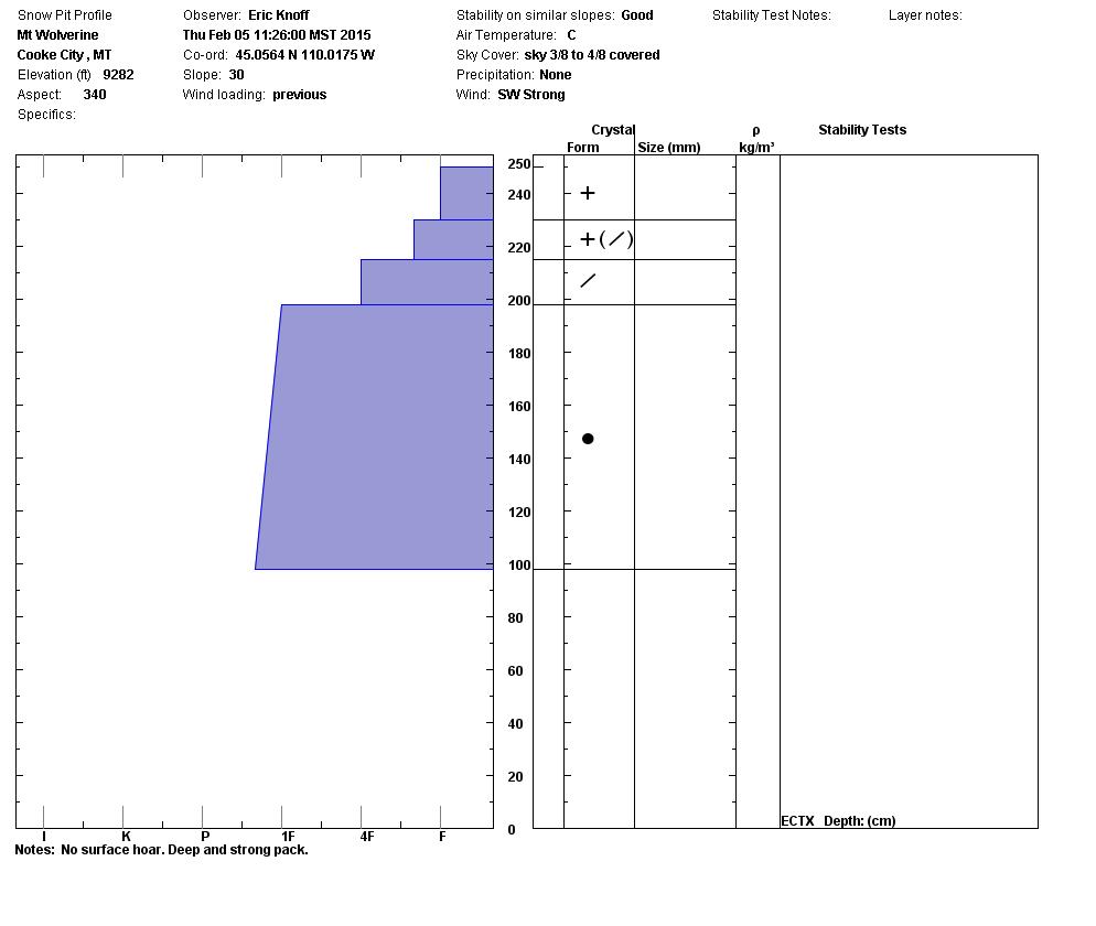 Cooke City Snowpit - 2/5/15