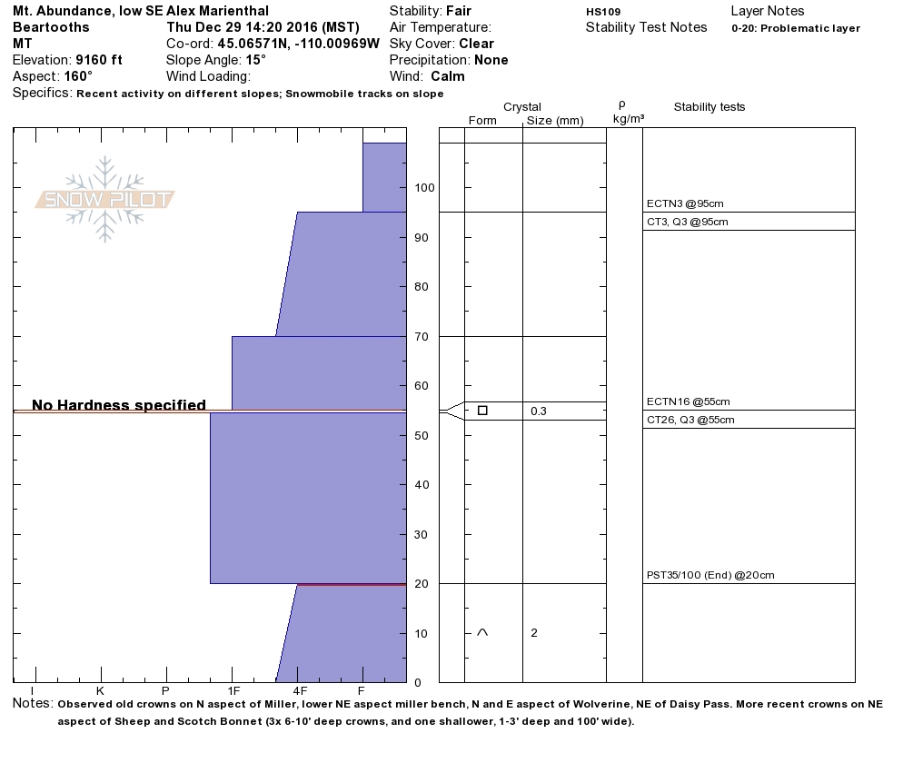 Mt. Abundance pit profile - 29 Dec