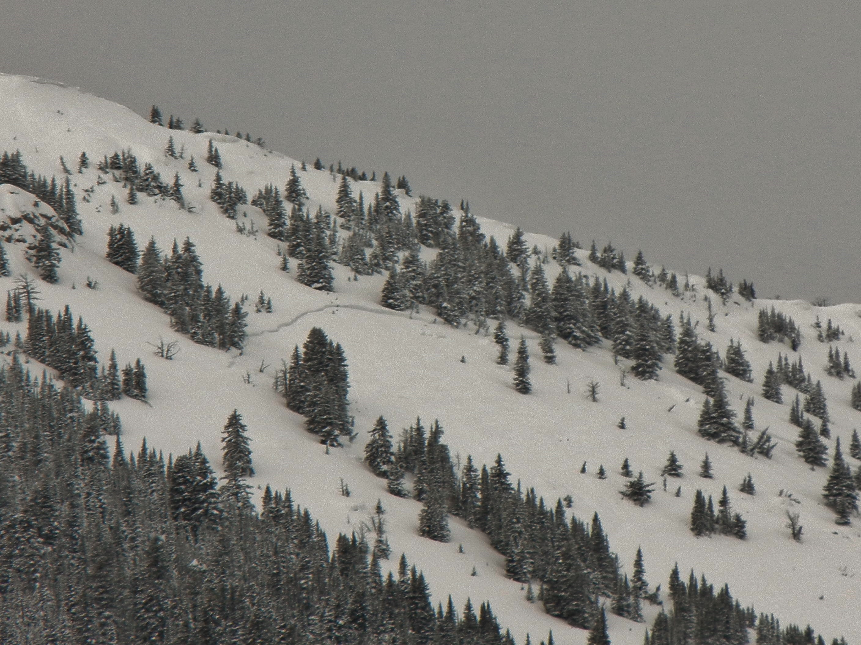 Northern Bridgers Avalanche 2