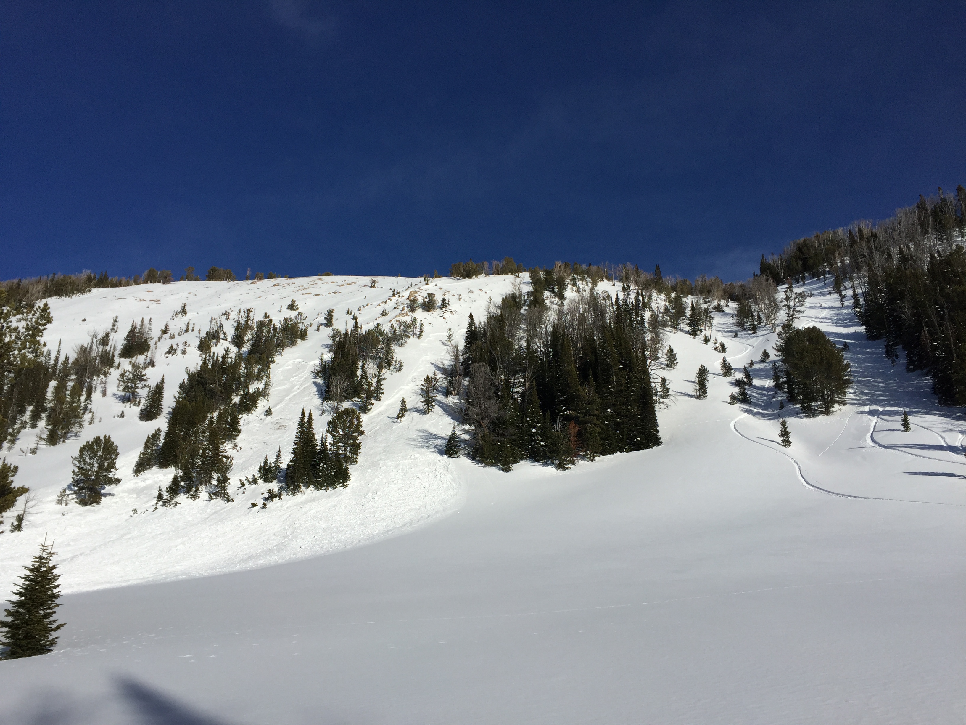 Avalanche in Beehive 2 - Jan 15