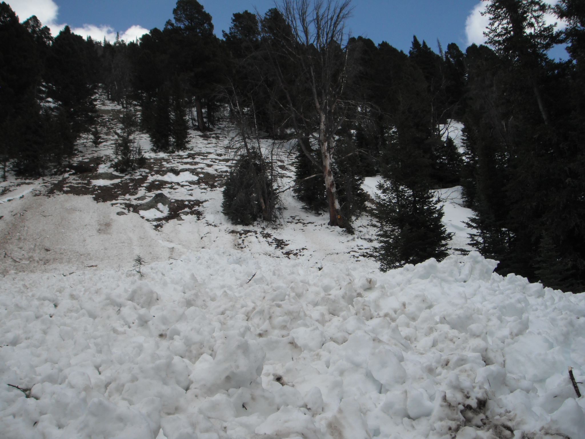 Wet avalanches in Tobacco Roots