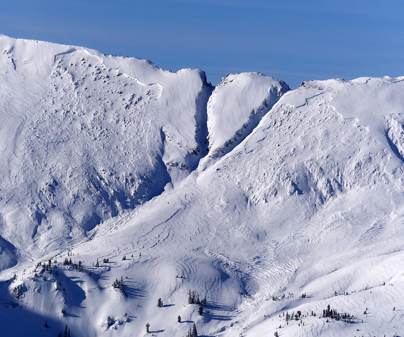 Avalanches in Sheep Cr. near Cooke