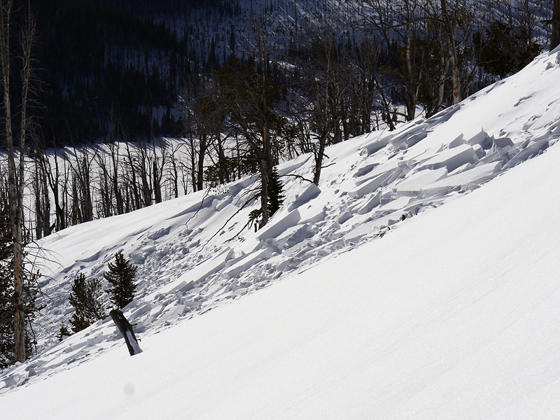 Natural wind slab release - Yellowstone Park 