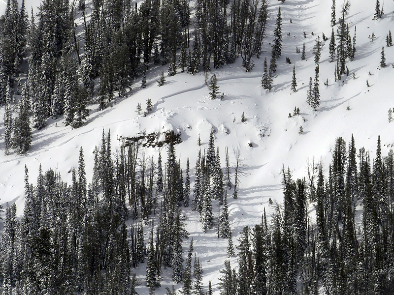 Avalanche in YNP from recent storm near Cooke