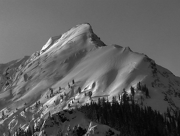 Avalanches near Cooke City