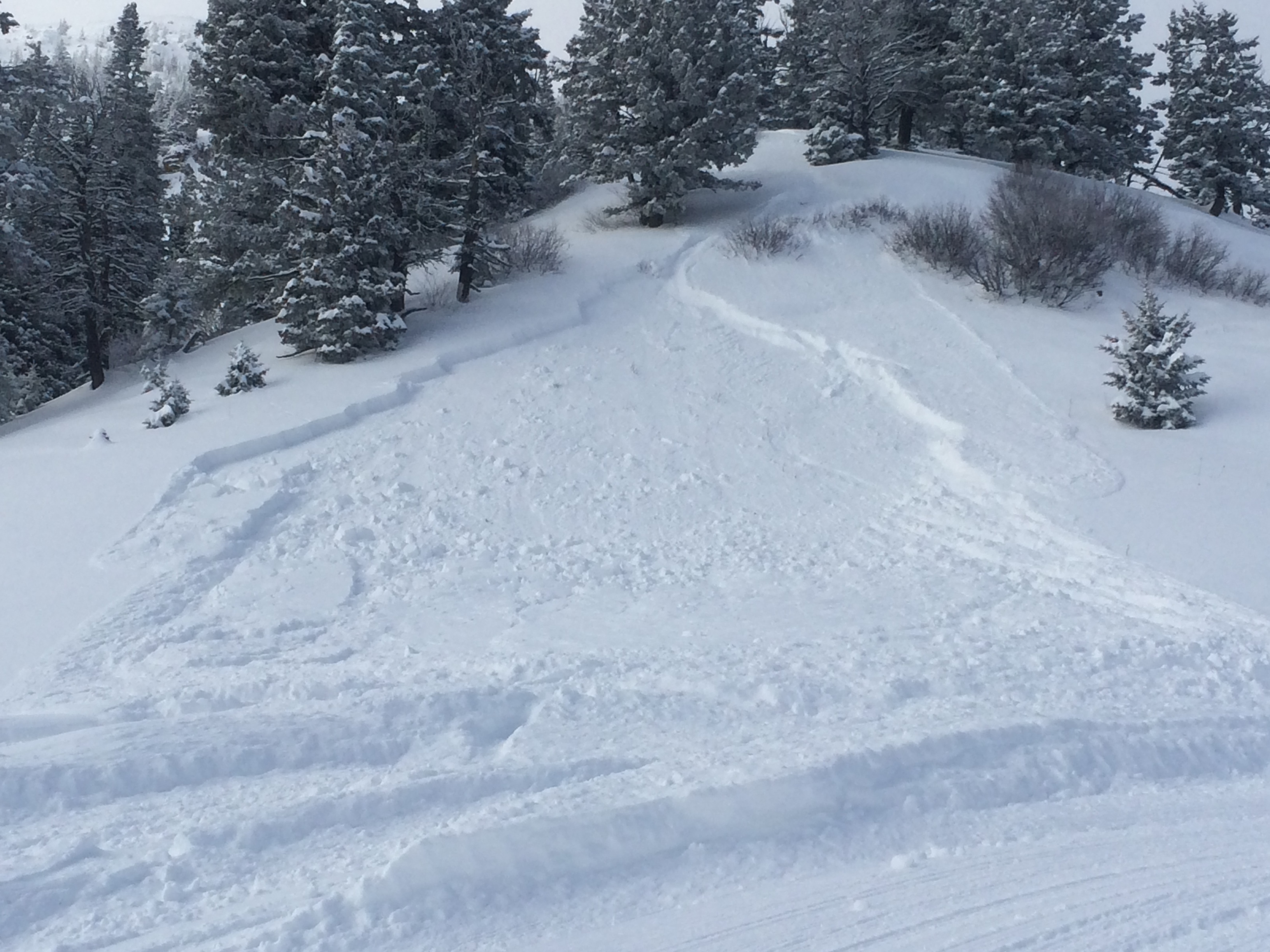 Small avalanche Bridger Bowl - 2 December 16