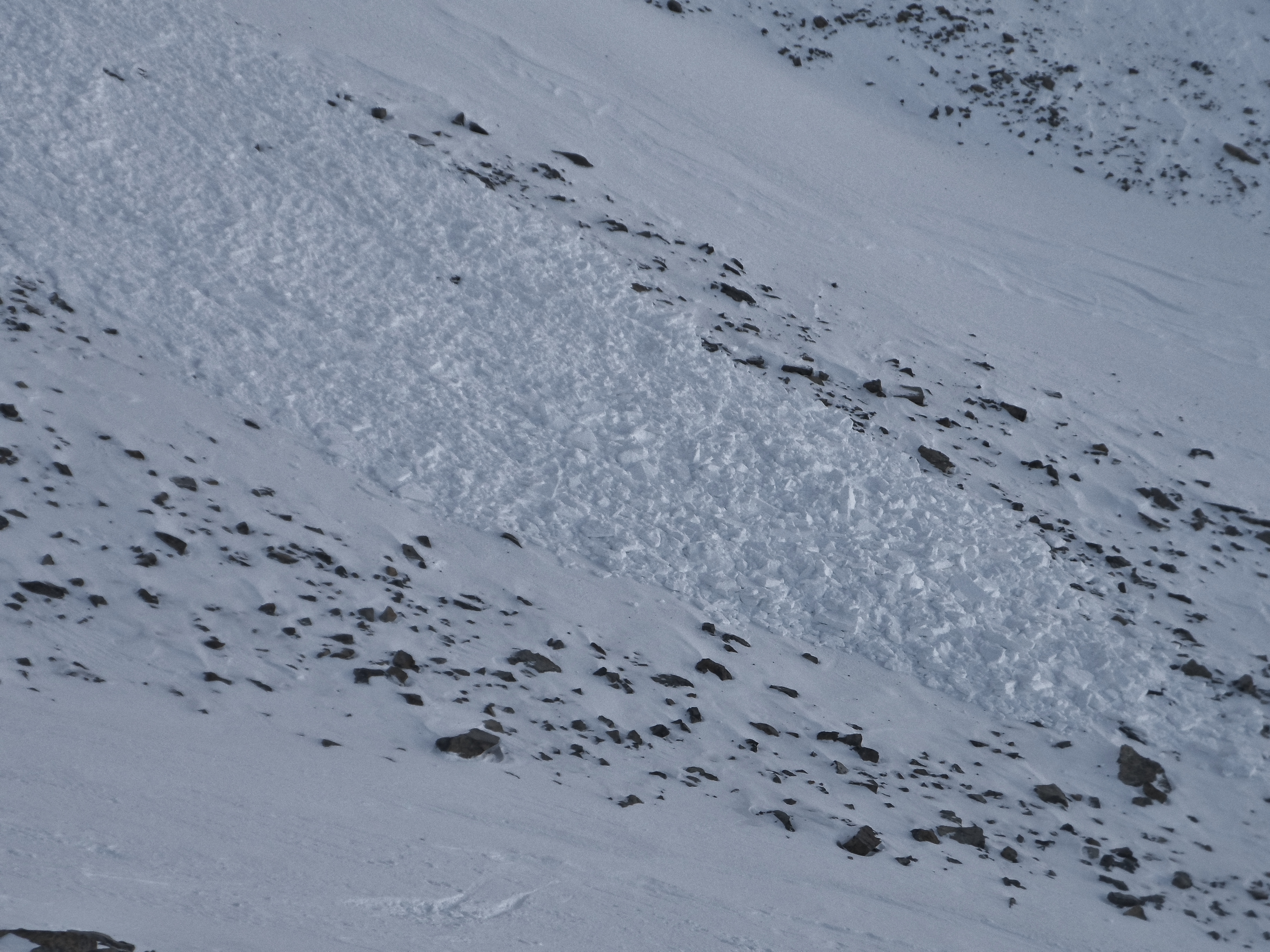 Hardscrabble Avalanche Debris