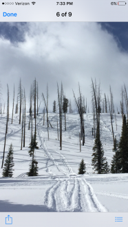 Snowmobile triggered avalanche Cooke City 2/20/16